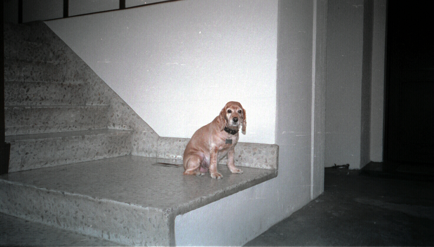 AA_2_039Hteka.jpg