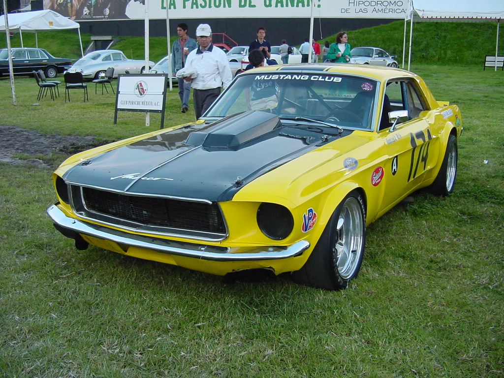 Mustang.jpg